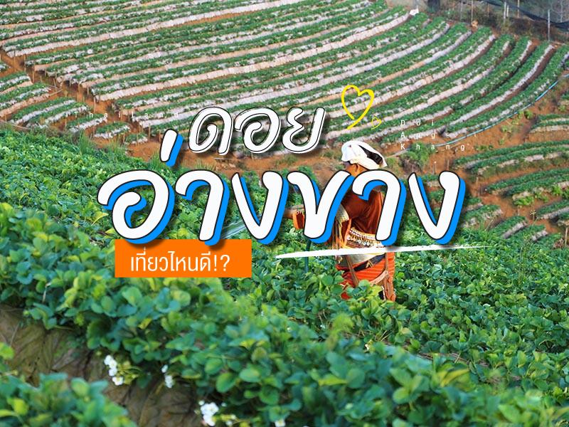 Doi Ang Khang, where to go?