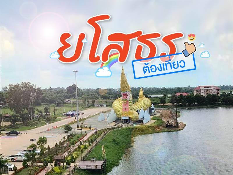 ยโสธร ต้องเทียว