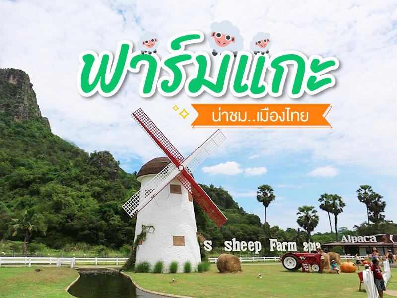 ฟาร์มแกะ น่าชม